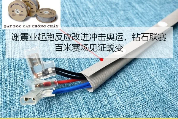 谢震业起跑反应改进冲击奥运，钻石联赛百米赛场见证蜕变